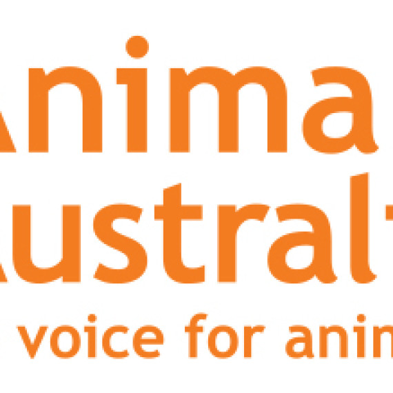Animalis Australia Logo