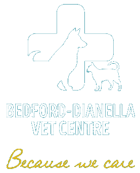 Bedford Vet