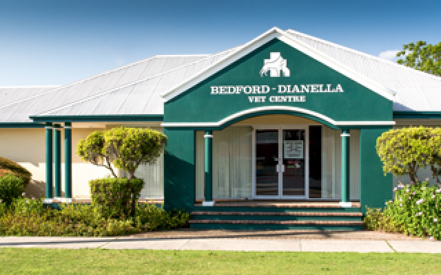 Bedford Dianella Vet Centre