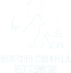 Bedford Vet